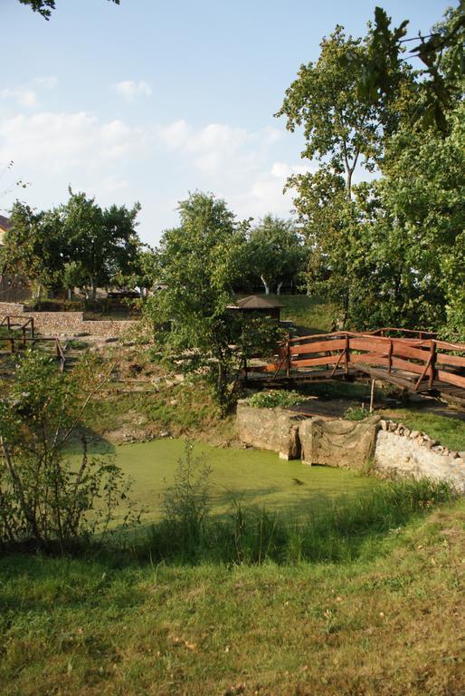Villa Zacisze Mazury à Kętrzyn Extérieur photo